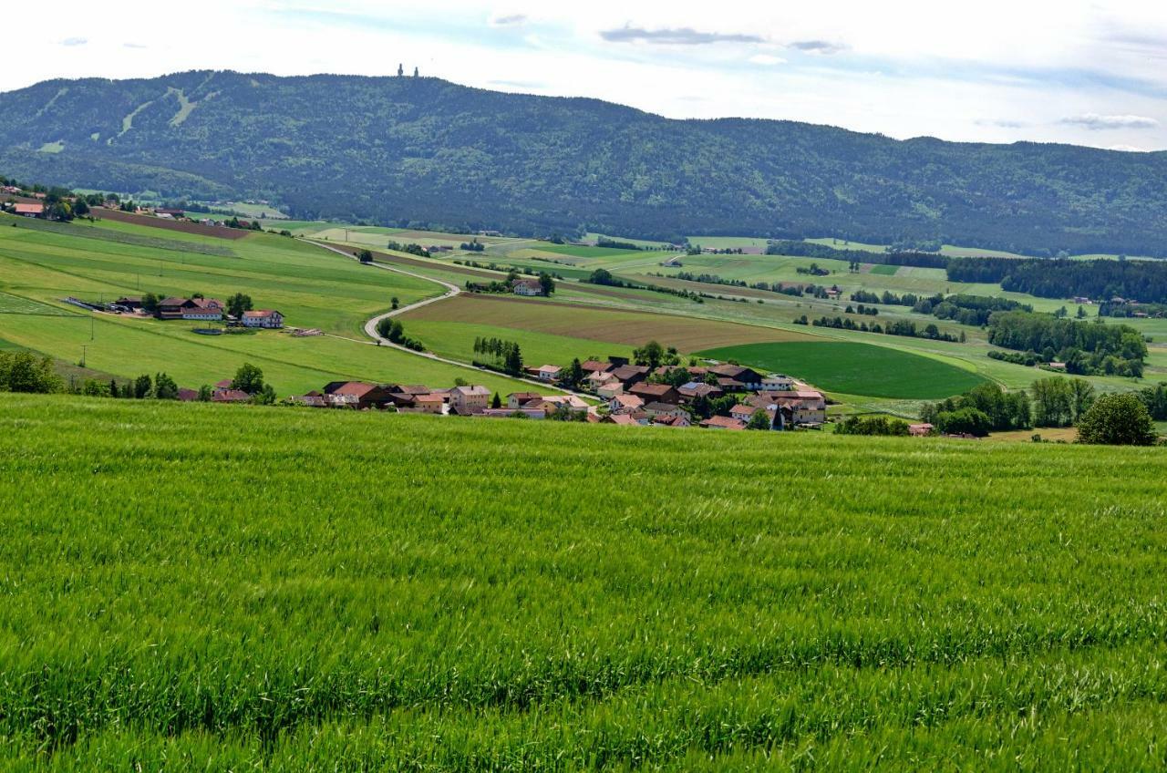 Hotel Gasthof Altmann Eschlkam 外观 照片